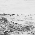 Petite galerie 2017 (07)