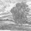 Exposition du 10 au 20 novembre 2022 (Petite galerie)