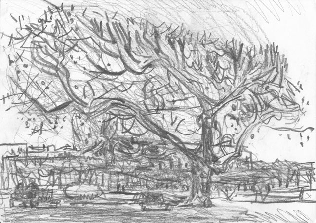 Petite galerie 2016 (17)